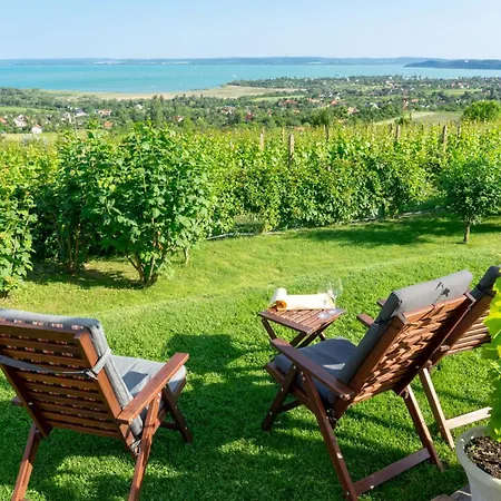 Σπίτι διακοπών Unit_type_semidetached_house Siofok 54624